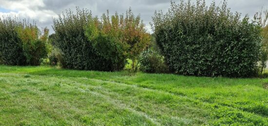 Terrain à bâtir à Saint-Jean-des-Mauvrets, Pays de la Loire